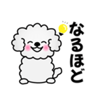 ずっと使えるワンコスタンプ♪トイプードル（個別スタンプ：15）