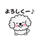 ずっと使えるワンコスタンプ♪トイプードル（個別スタンプ：17）