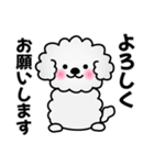 ずっと使えるワンコスタンプ♪トイプードル（個別スタンプ：18）
