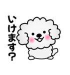 ずっと使えるワンコスタンプ♪トイプードル（個別スタンプ：19）