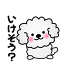 ずっと使えるワンコスタンプ♪トイプードル（個別スタンプ：20）