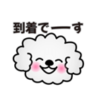 ずっと使えるワンコスタンプ♪トイプードル（個別スタンプ：21）