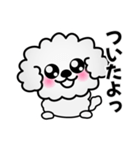 ずっと使えるワンコスタンプ♪トイプードル（個別スタンプ：22）