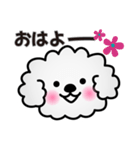 ずっと使えるワンコスタンプ♪トイプードル（個別スタンプ：25）