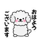ずっと使えるワンコスタンプ♪トイプードル（個別スタンプ：26）