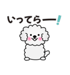 ずっと使えるワンコスタンプ♪トイプードル（個別スタンプ：30）