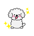 ずっと使えるワンコスタンプ♪トイプードル（個別スタンプ：33）