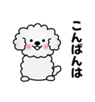 ずっと使えるワンコスタンプ♪トイプードル（個別スタンプ：38）