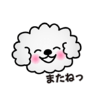 ずっと使えるワンコスタンプ♪トイプードル（個別スタンプ：39）