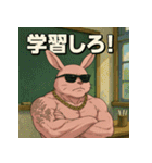 毒舌筋肉ラビット（個別スタンプ：25）