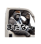 ゴリラ×軽トラ！3Dリアル（個別スタンプ：10）
