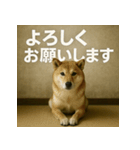お頼みアニマルず（個別スタンプ：4）