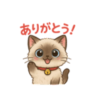 感謝を伝えるシャム猫ニャン太郎（個別スタンプ：1）