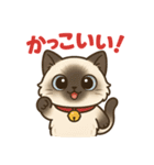 感謝を伝えるシャム猫ニャン太郎（個別スタンプ：2）