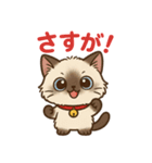 感謝を伝えるシャム猫ニャン太郎（個別スタンプ：3）