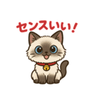 感謝を伝えるシャム猫ニャン太郎（個別スタンプ：4）