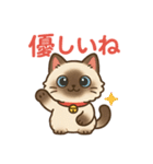 感謝を伝えるシャム猫ニャン太郎（個別スタンプ：5）