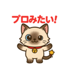 感謝を伝えるシャム猫ニャン太郎（個別スタンプ：8）
