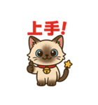 感謝を伝えるシャム猫ニャン太郎（個別スタンプ：12）