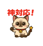感謝を伝えるシャム猫ニャン太郎（個別スタンプ：13）