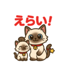 感謝を伝えるシャム猫ニャン太郎（個別スタンプ：15）