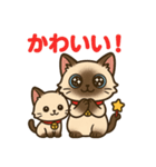 感謝を伝えるシャム猫ニャン太郎（個別スタンプ：17）