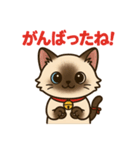 感謝を伝えるシャム猫ニャン太郎（個別スタンプ：18）