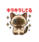 感謝を伝えるシャム猫ニャン太郎（個別スタンプ：19）