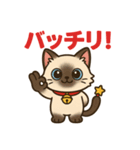 感謝を伝えるシャム猫ニャン太郎（個別スタンプ：22）