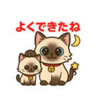 感謝を伝えるシャム猫ニャン太郎（個別スタンプ：23）