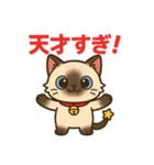 感謝を伝えるシャム猫ニャン太郎（個別スタンプ：24）