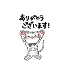 敬語も使えるネコちゃんず（個別スタンプ：3）
