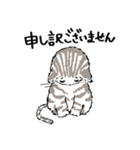 敬語も使えるネコちゃんず（個別スタンプ：4）