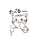 敬語も使えるネコちゃんず（個別スタンプ：9）