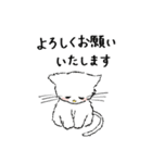 敬語も使えるネコちゃんず（個別スタンプ：27）