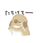 うさはけだるげ2（個別スタンプ：11）