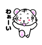 ずっと使える⭐可愛い白虎さん（個別スタンプ：3）