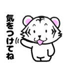 ずっと使える⭐可愛い白虎さん（個別スタンプ：10）