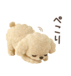 【3D】トイプードル・秋（個別スタンプ：36）