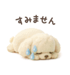 【3D】トイプードル・秋（個別スタンプ：37）