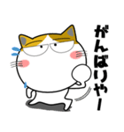 三毛猫★関西のことば（個別スタンプ：6）