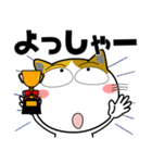 三毛猫★関西のことば（個別スタンプ：18）