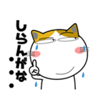 三毛猫★関西のことば（個別スタンプ：23）