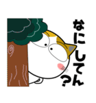 三毛猫★関西のことば（個別スタンプ：27）
