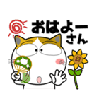 三毛猫★関西のことば（個別スタンプ：36）