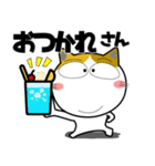 三毛猫★関西のことば（個別スタンプ：37）