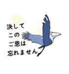 はしびろコウとへびくいワシの日常スタンプ（個別スタンプ：28）