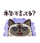 ヒマラヤンです（個別スタンプ：7）