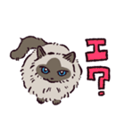 ヒマラヤンです（個別スタンプ：9）
