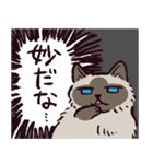 ヒマラヤンです（個別スタンプ：10）
